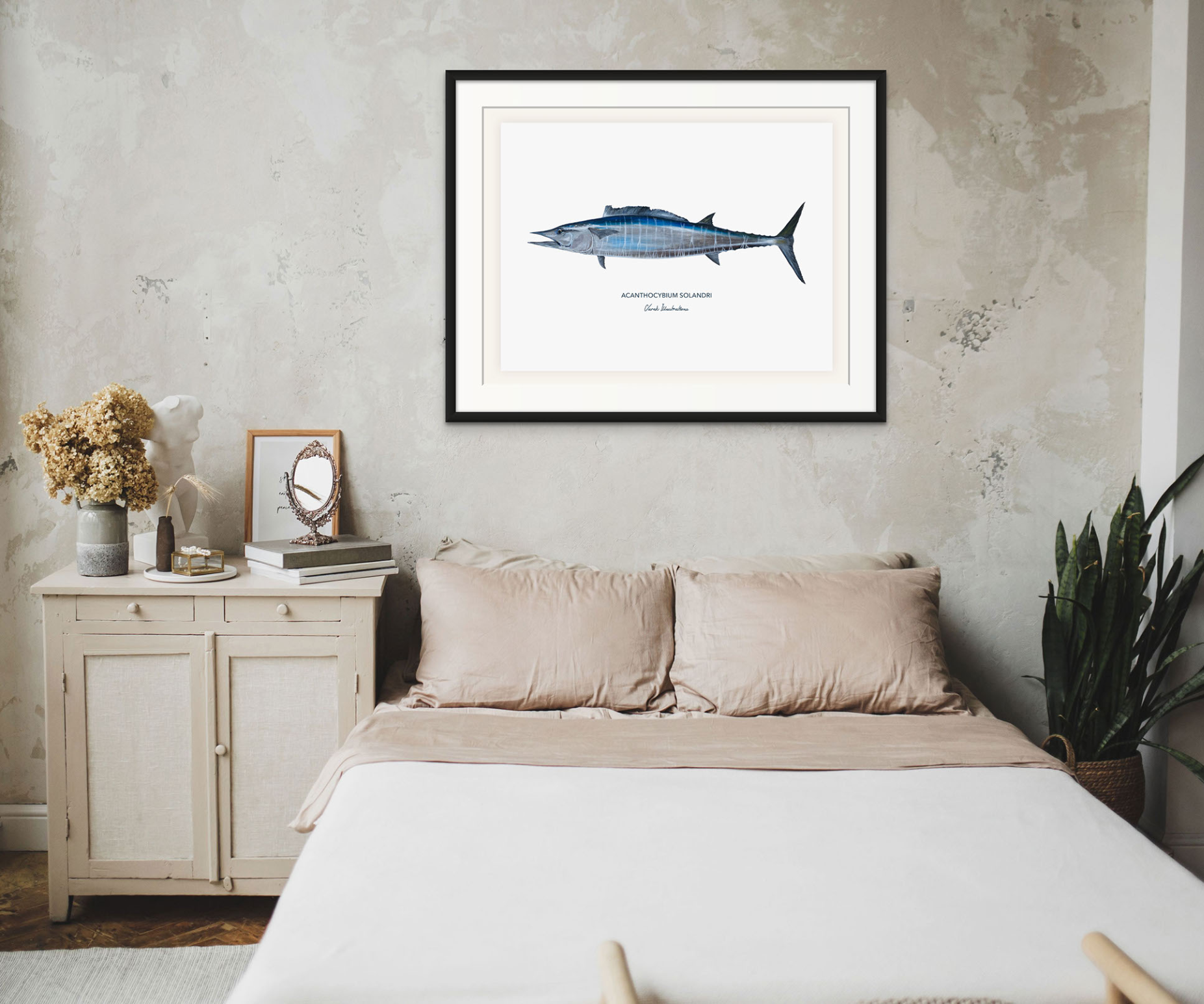 Varek Illustrations - Wholesale Art Print - Wahoo fish painting - reproduction on art paper2