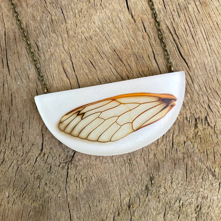 Cicada Wing for wholesale by Fernworks