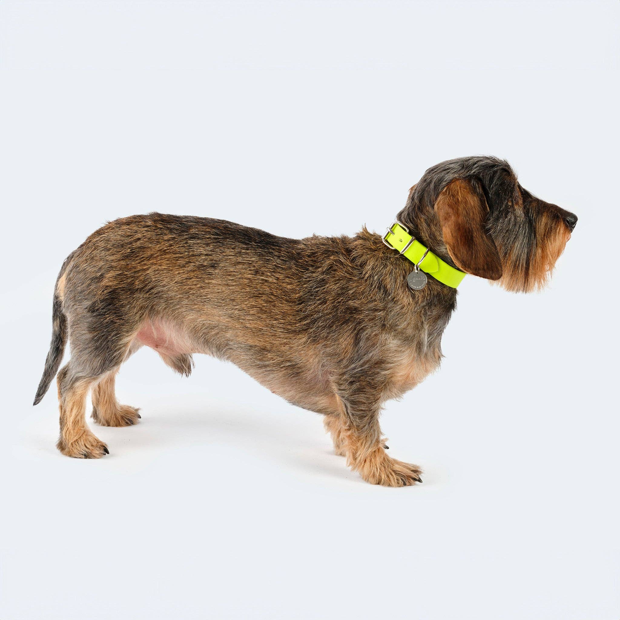 ​​Leopold's Finest for dogs - Wholesale Pet Collar - Dog - Dog Collar Adventure4