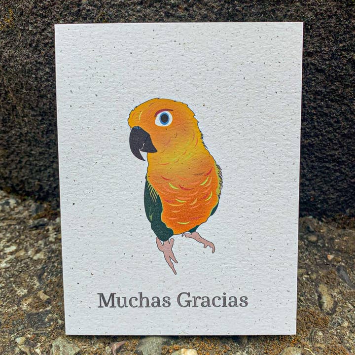 Muchas gracias - Sun Conure para venta al por mayor de Hakuna Matata Vibes