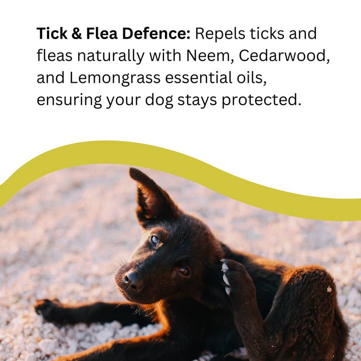 Natures Greatest Secret - Vente Shampoing – chien - Shampoing antibactérien à l'argent colloïdal pour chiens 250 ml3