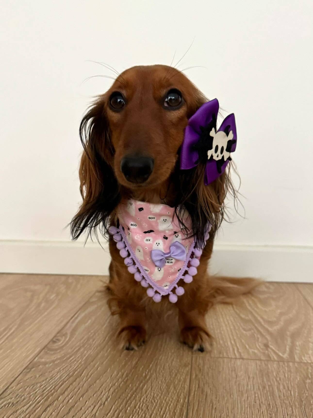Puppies & Pom Poms - Wholesale Pet Bandana - Dog - Cute Pink Ghosts! Halloween Pompom Dog Bandana12