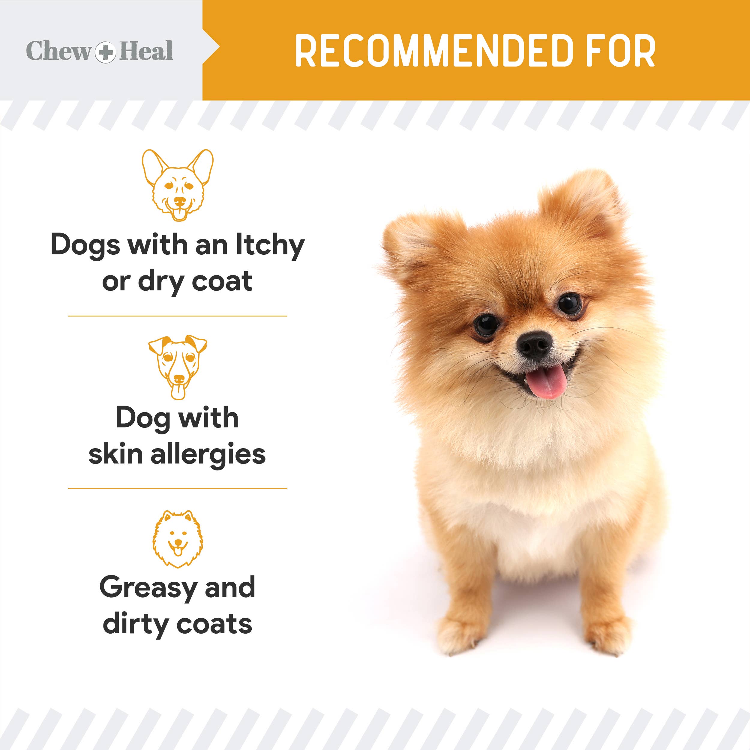 Chew + Heal - Wholesale Pet Supplement - Dog - Norwegian Salmon Oil Skin & Coat Supplement for Dogs & Cats9