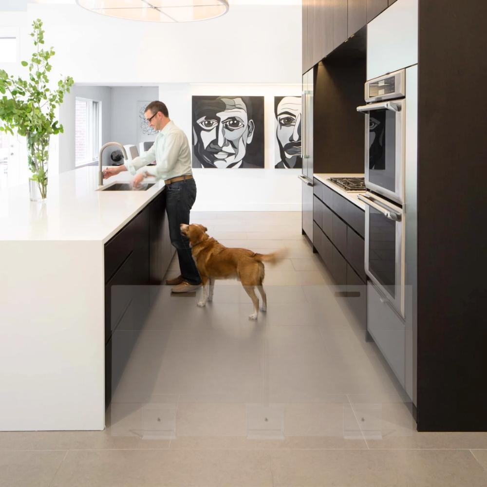 Hiddin - Vente Barrière portative pliable – chien - Portail à Panneaux Hauts9