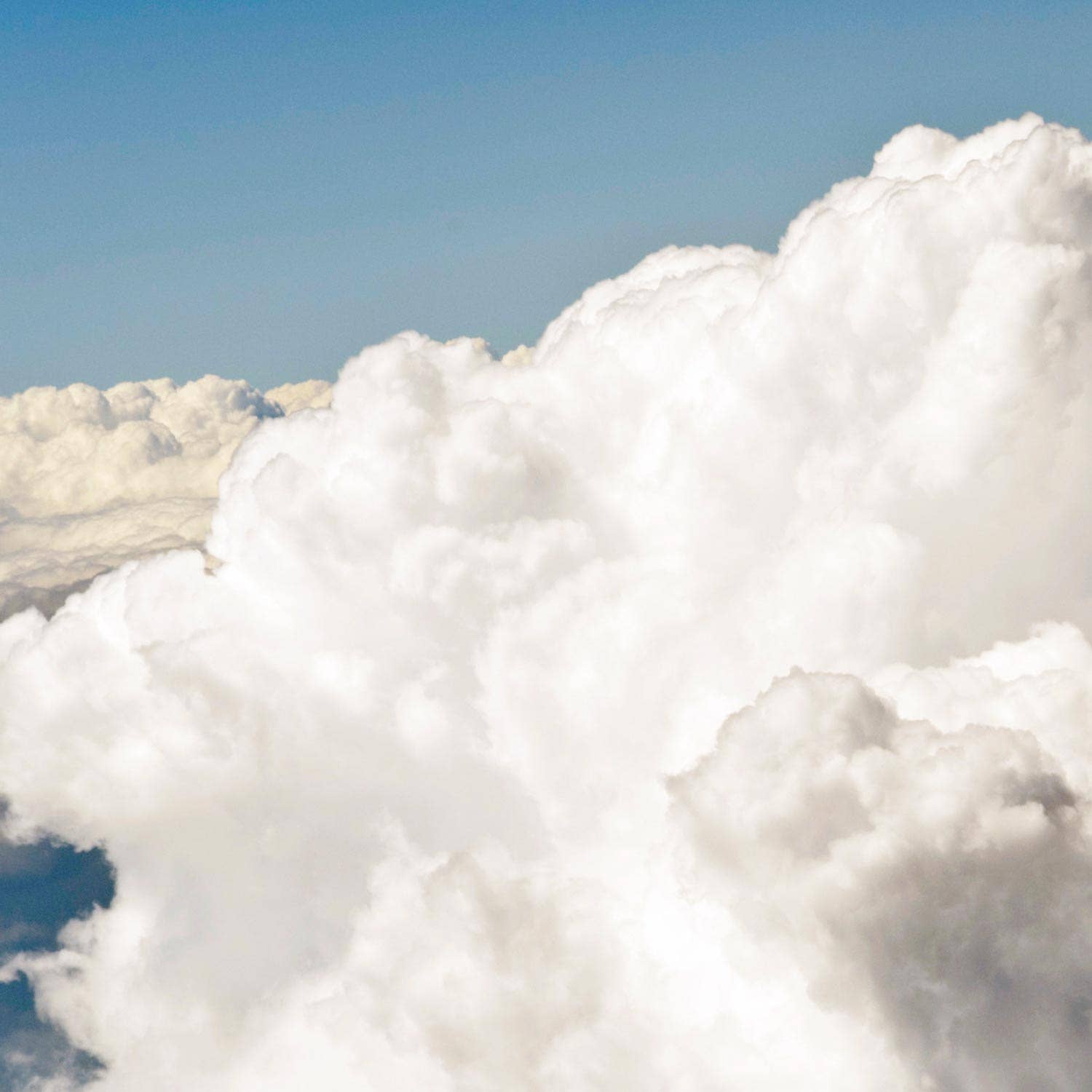 jubel naturals - Wholesale Facial Cleanser - Super Sensitive Cleanser1