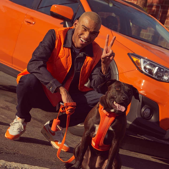 Wild One - Wholesale Pet Harness - Dog - Harness63