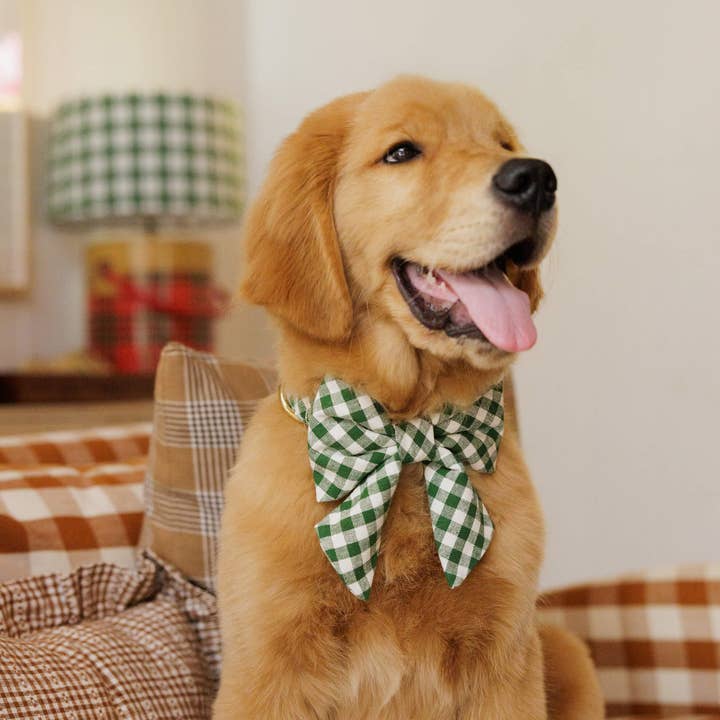 The Foggy Dog - Vente Nœud papillon – chien - Mini nœud Gingham Hunter vert pour femme HTH x TFD