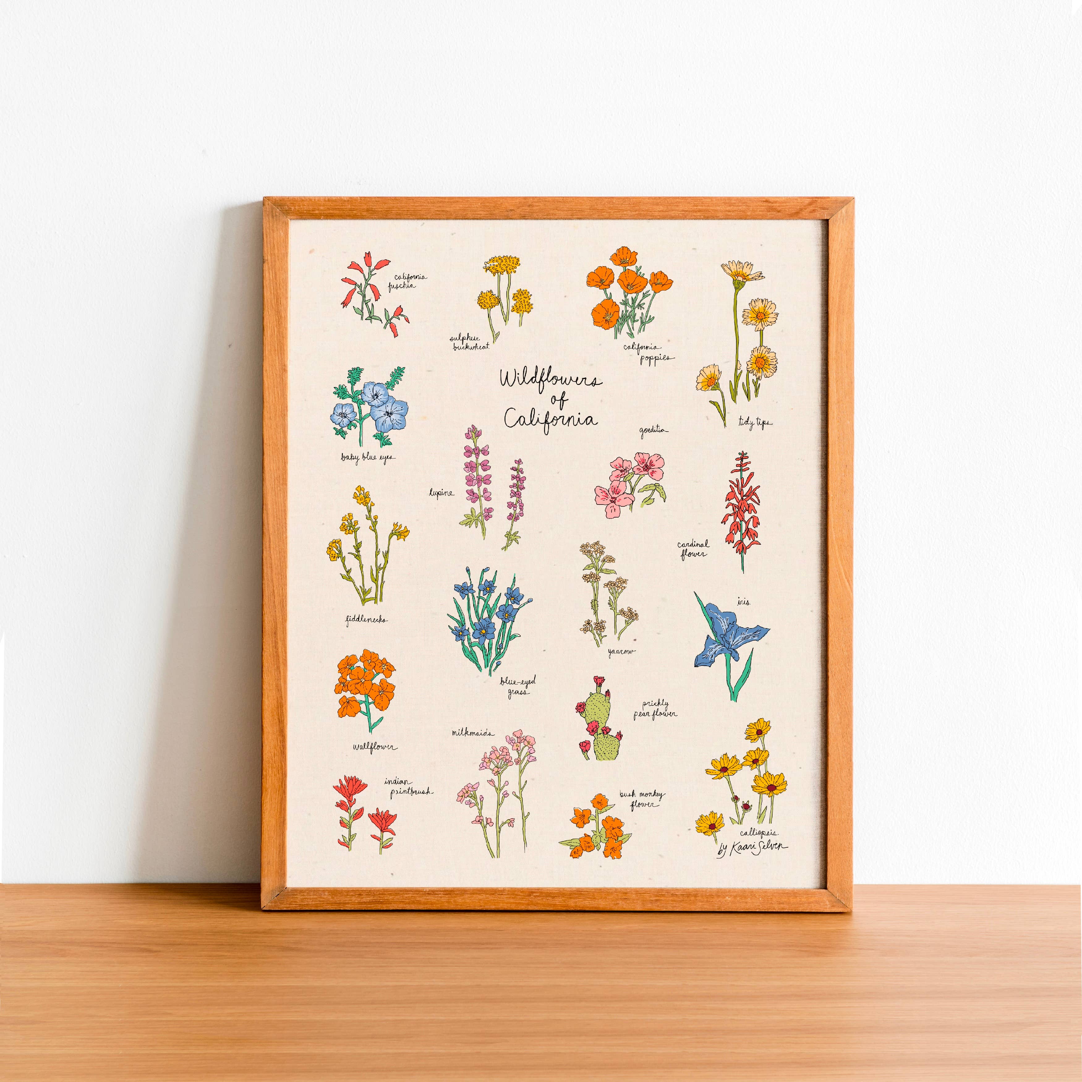 Kaari & Co. - Wholesale Art Print - Wildflowers of California Art Print - Hush Poppy Collection0