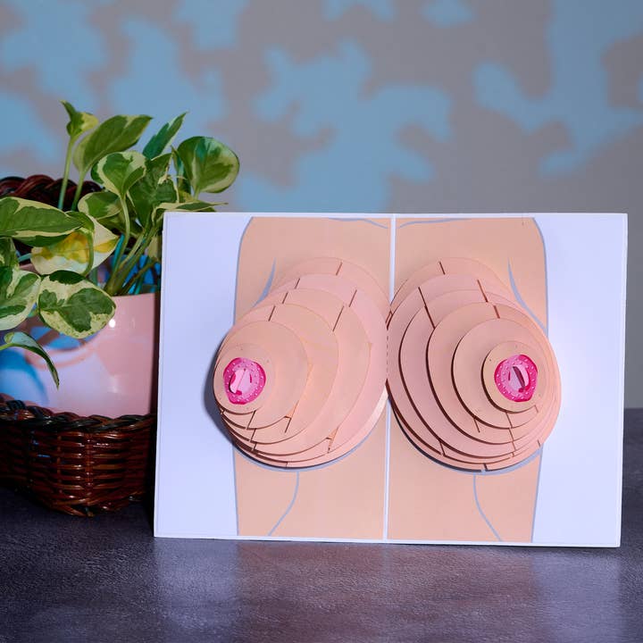 Dirty Pop Cards - Wholesale Everyday Greeting Card - Naughty Knockers Funny 3D Pop-Up Boobs Greeting Card