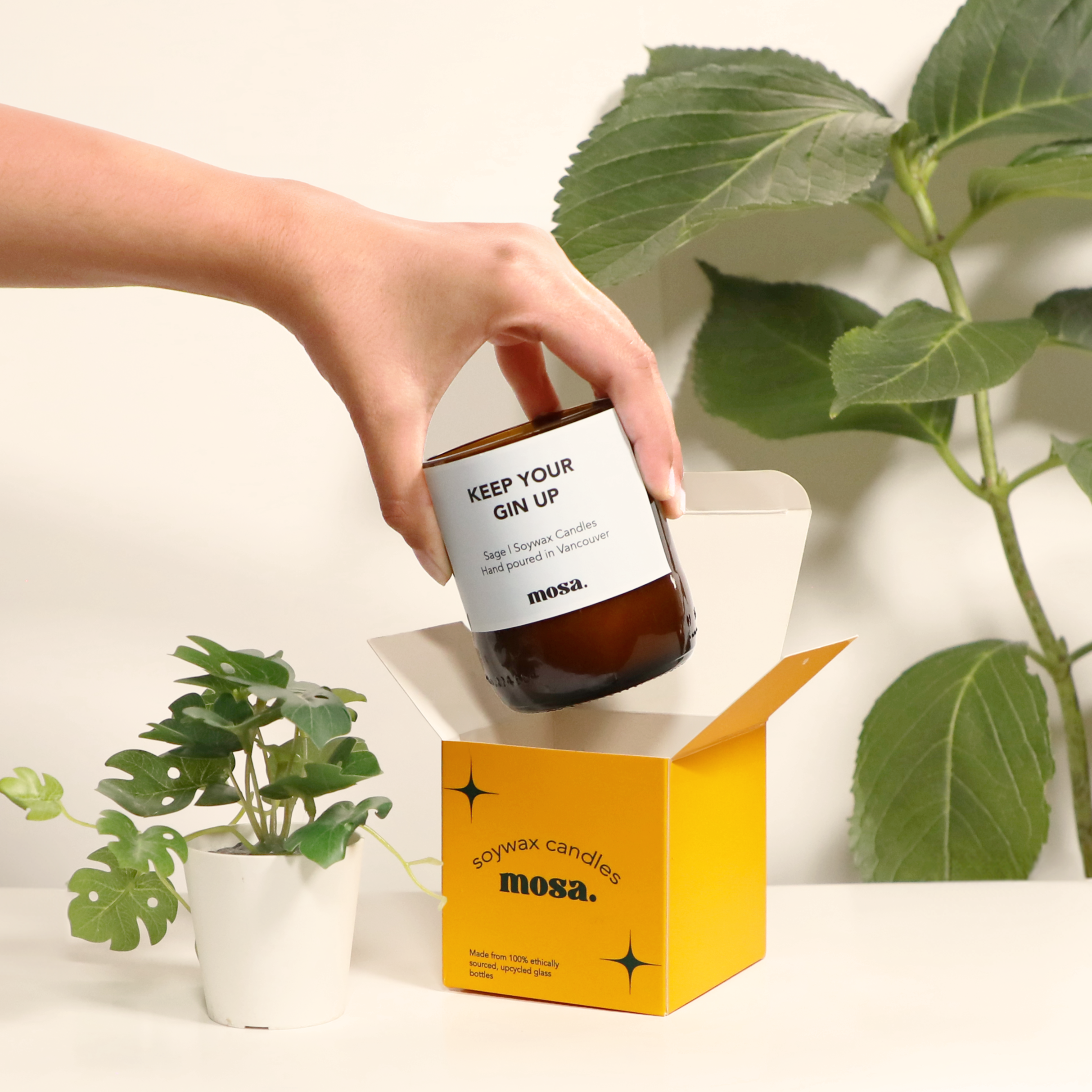 Mosa - Wholesale Jar/Filled Candle - Keep Your Gin Up - Sage Candle1