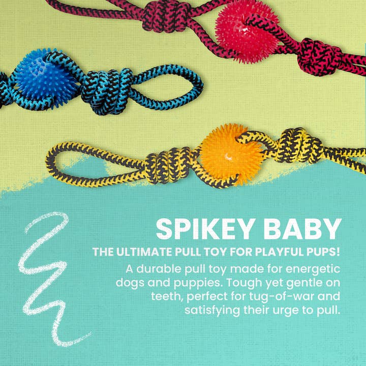 SnugArooz - Wholesale Pet rope toy – Dog - Spikey Baby3