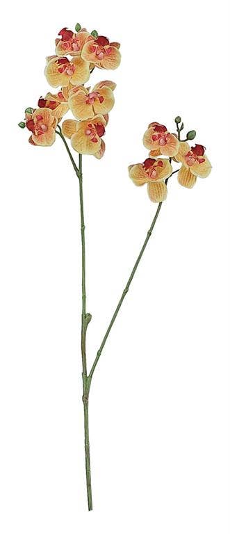 Select Artificials, Inc. - Wholesale Artificial Flowers - Real-touch Mini Phalaenopsis Orchid X2 W/11 Flowers