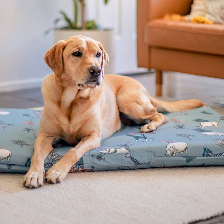Safari Mattress & Cover for wholesale by Stylish Hound
