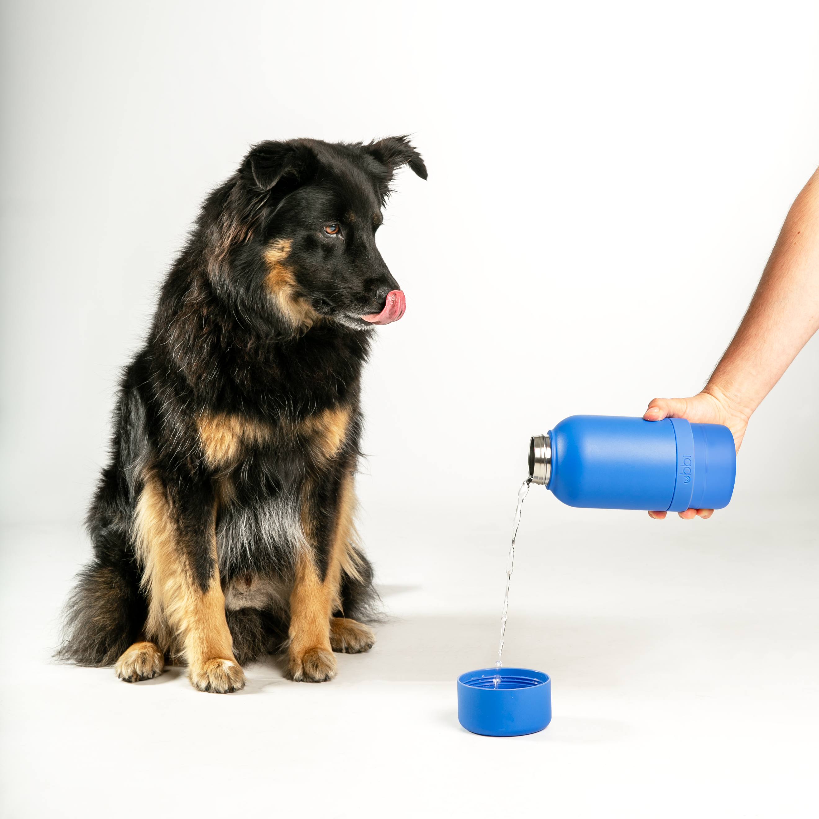 Ubbi - Wholesale Water Bottle - Blue Pup + Me Water Bottle1