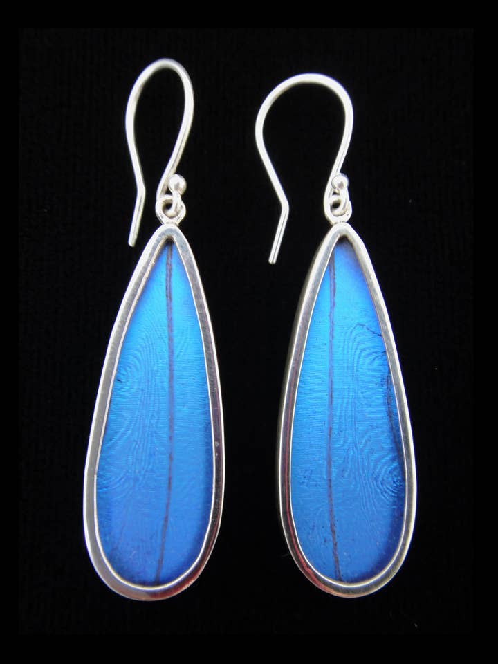 Orecchini pendenti lunghi a forma di farfalla Shimmerwings «Blue Morpho» per la vendita all'ingrosso da parte di Tika