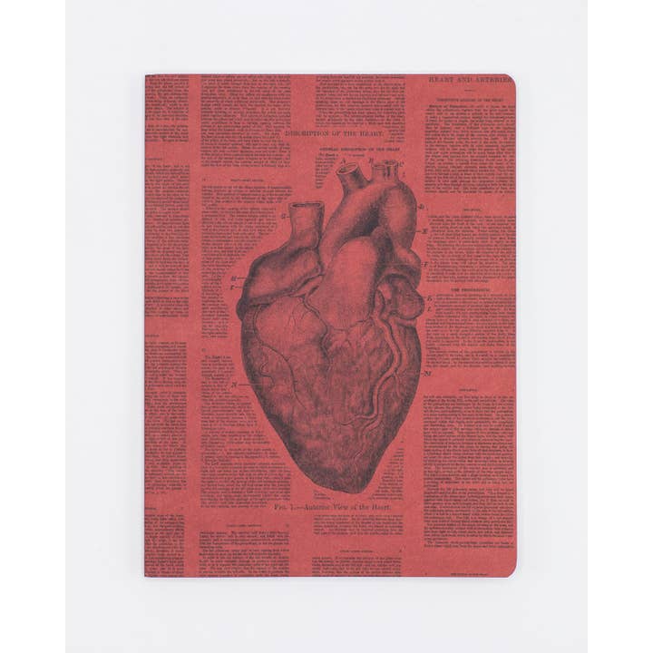 Cognitive Surplus - Wholesale Notebook - Anatomical Heart Softcover Notebook Lined (Case of 6)