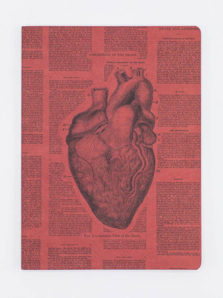 Carnet à couverture souple avec lignes et motif de cœur anatomique (lot de 6) pour la vente par Cognitive Surplus