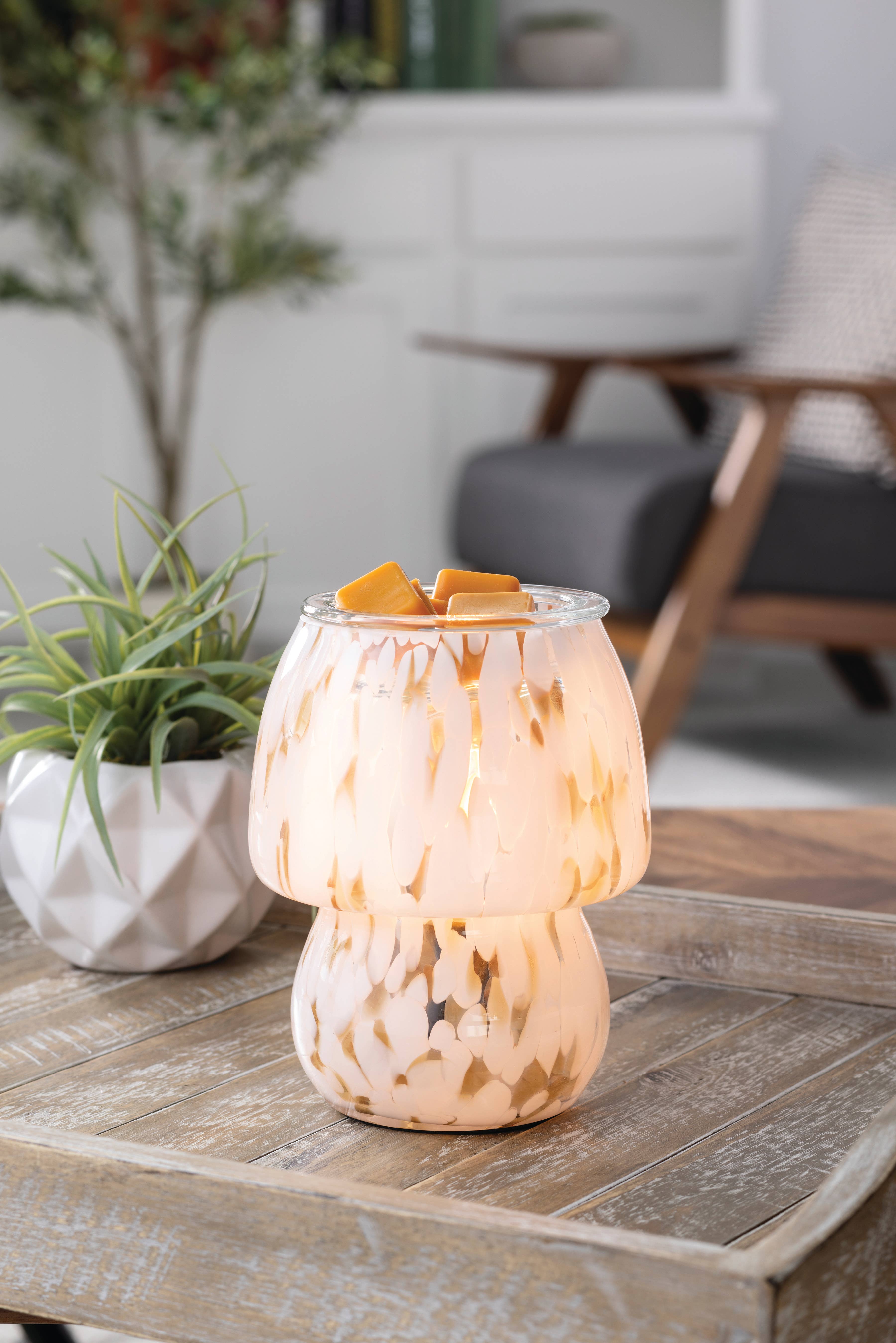 Candle Warmers Etc. - Wholesale Fragrance Warmer - Art Glass Lamp Vintage Bulb Illumination Fragrance Warmer1