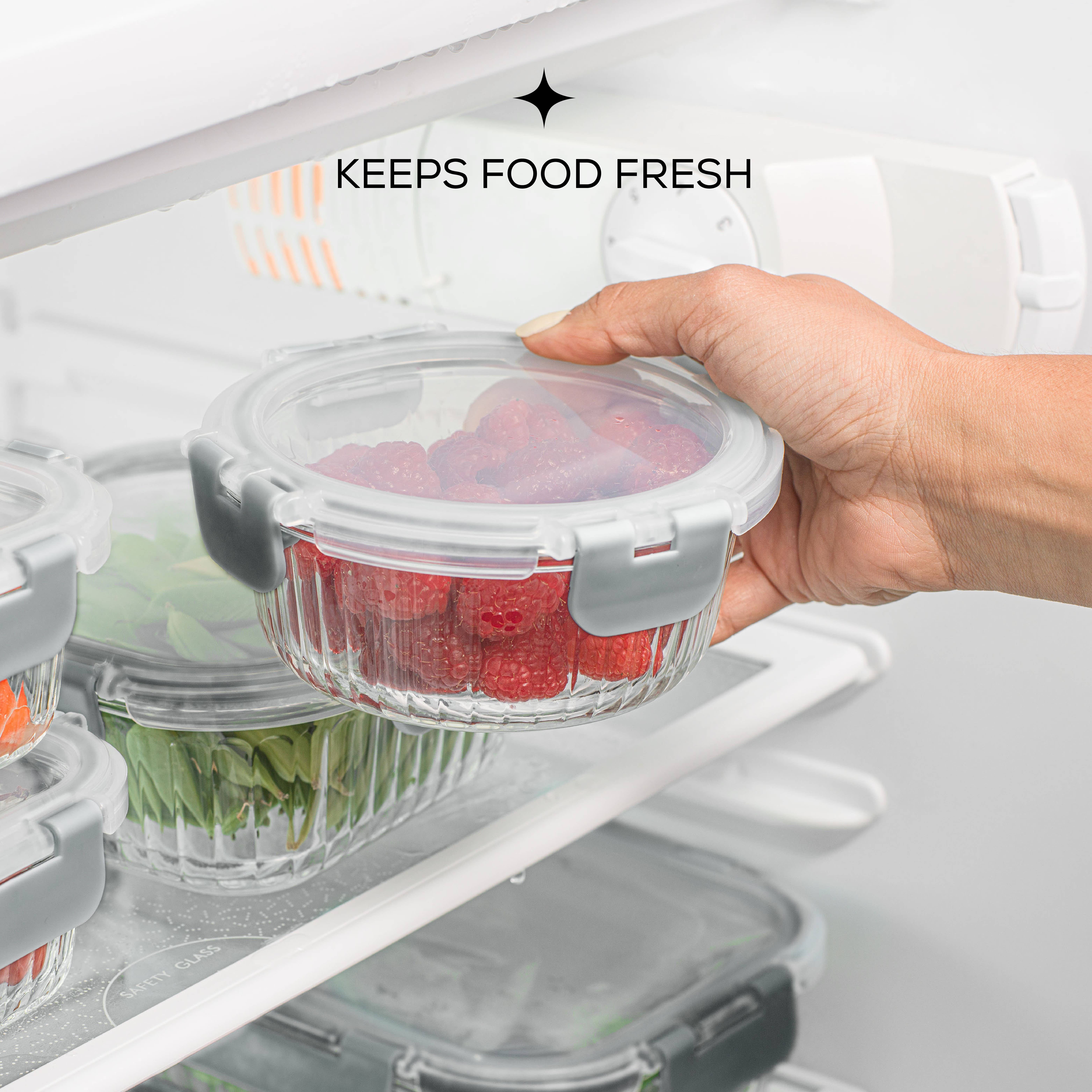 JoyJolt – wholesale Matlåda – JoyJolt 24-delars räfflad matförvaringsbehållare med lock8