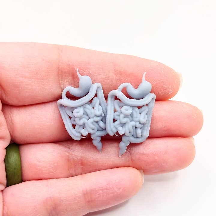 The Scale Grail - Wholesale Decorative Figurine - Human Guts - intestines and stomach for 1:12 scale dioramas, horror scenes, terrariums, arts crafts, action figures, doll house (set of two)