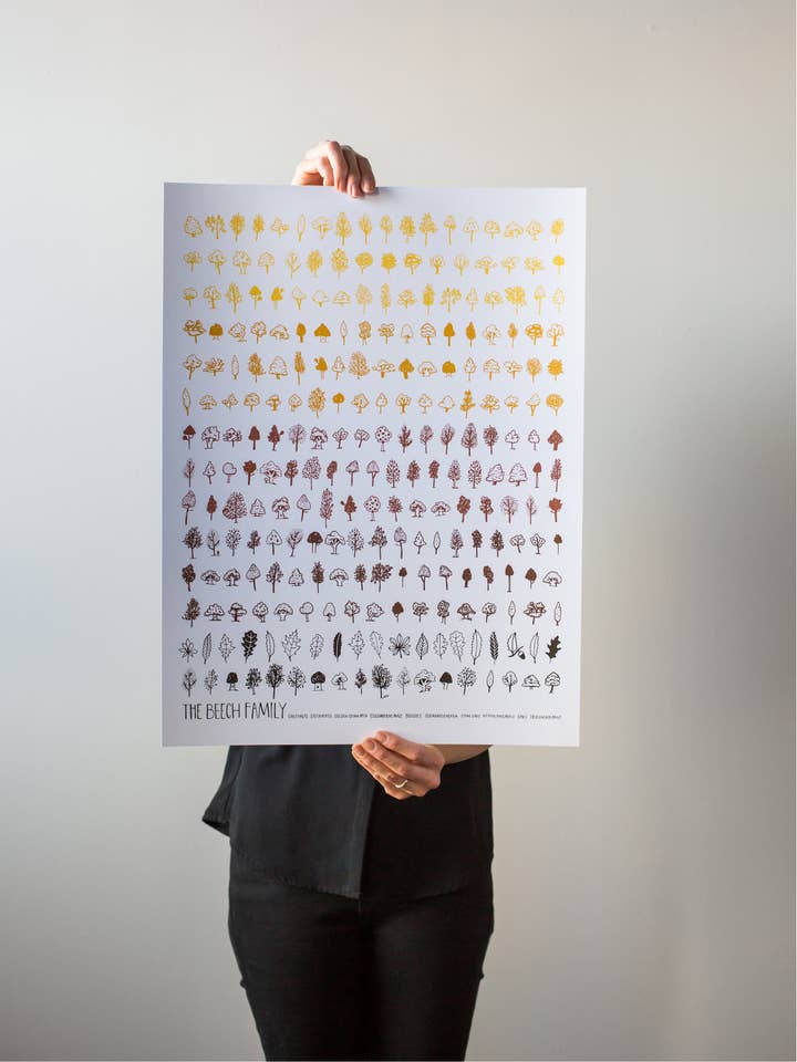 Impresión de The Beech Family en blanco para venta al por mayor de Brainstorm