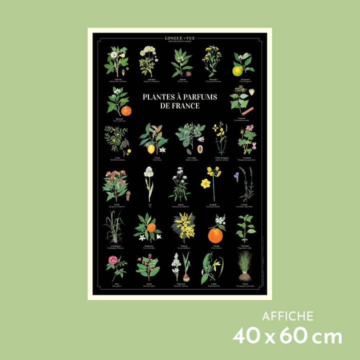 Plantes à parfums de France - Affiche pour la vente par Longue-vue