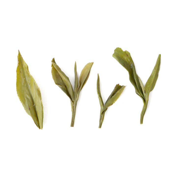 Embalagem de retalho Sejak 30g por atacado de DADOTEA