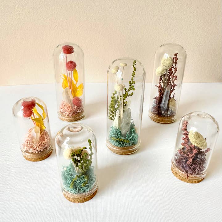 CA Studios - Wholesale Terrarium - Crystal Fairy Garden Mix Mini Glass Cloche Terrariums