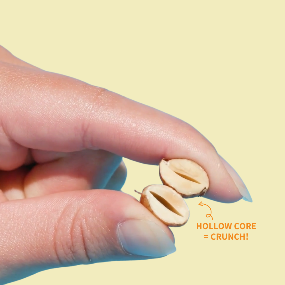 Daily Crunch - Wholesale Nuts - Turmeric + Sea Salt Sprouted Almonds, 1.5oz Single Serve6