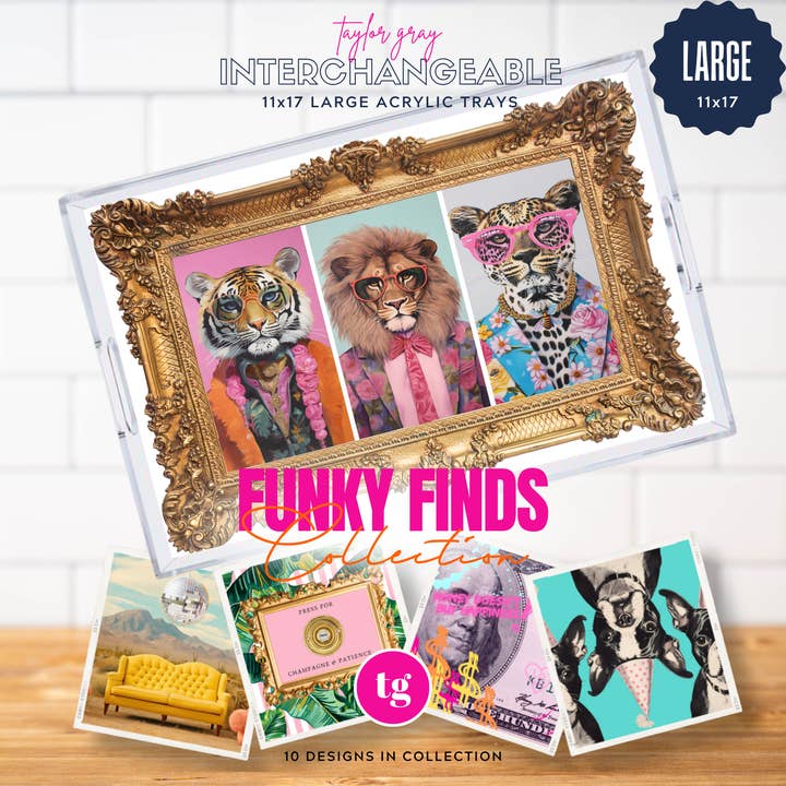 11x17 FUNKY FINDS insert set of 10 for wholesale by TAYLOR GRAY