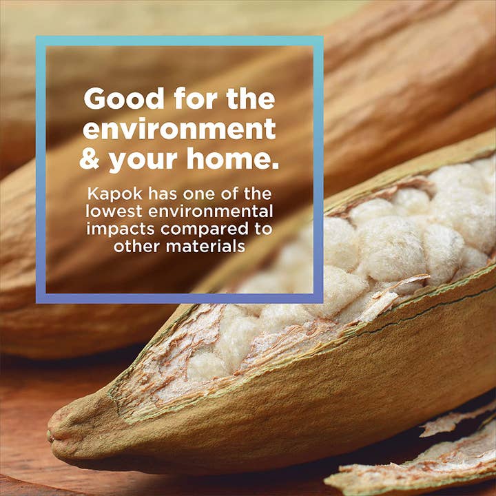 Bean Products - Wholesale Craft Supplies - Kapok Fiber Fill Stuffing - Organic6