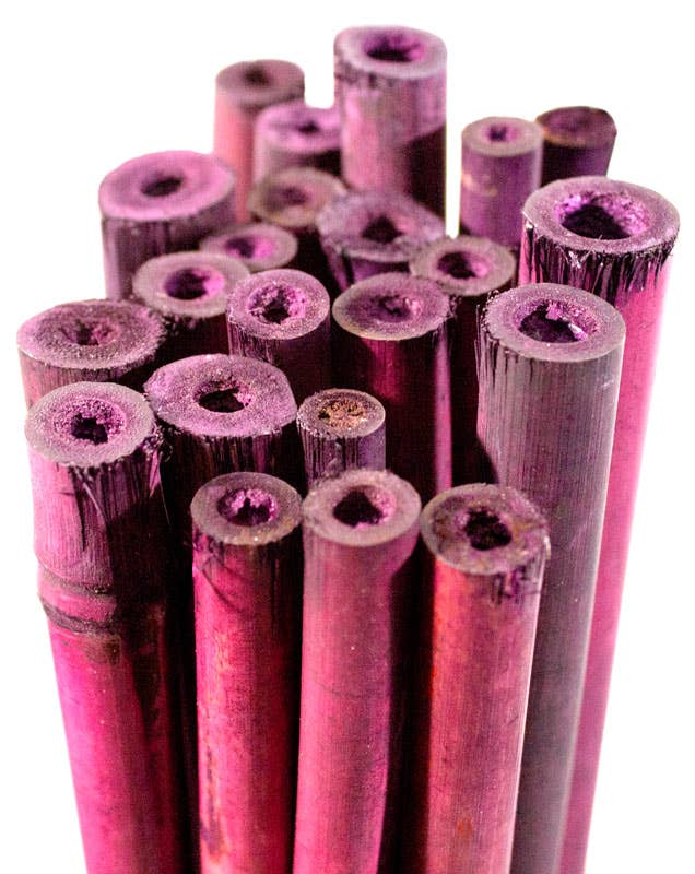 SuperMoss - Wholesale Garden/Lawn Stake - Bamboo Plant Stakes 24in 25 Pack4