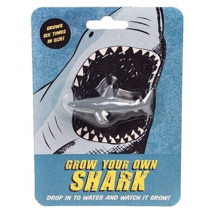 Grow Your Own Shark Toy for wholesale by Rex B2B - UK