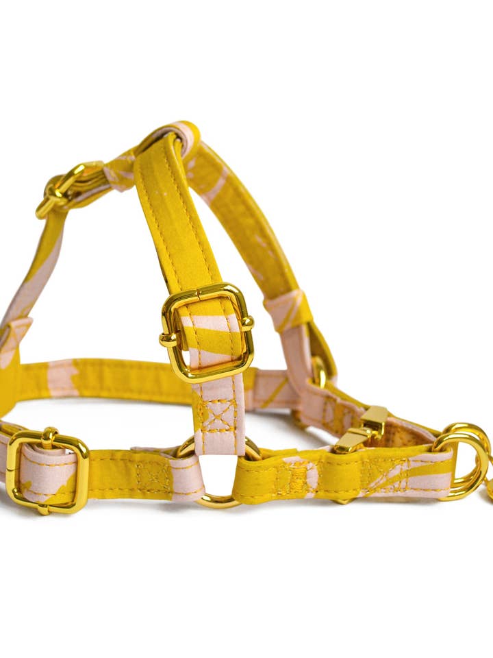 HUNDESELE STEP-IN MARBLE DREAMS for engroshandel hos Moniandme