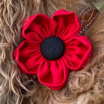 Darcy's Canine Designs - Wholesale Pet Collar - Dog - Red Poppy Collar Flower Pet Accessory0