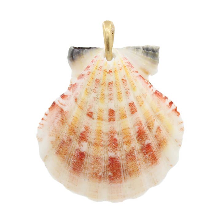 Shell Pendant - Size Medium for wholesale by Moliko LLC.