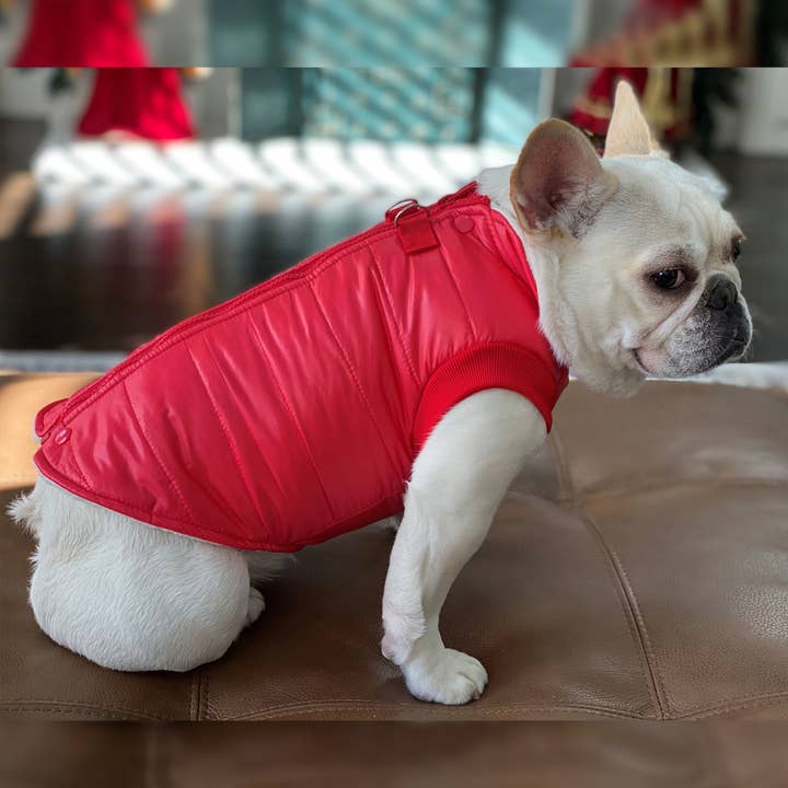 Foret vestjakke med lynlås og snor-ring til hunde for engroshandel hos Primeware Inc.