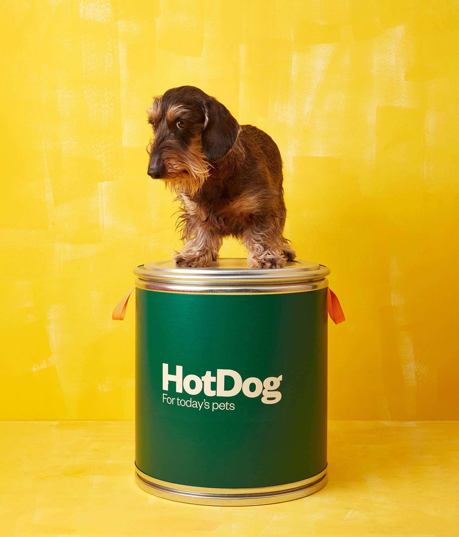 HotDog Pets - Wholesale Cube Storage - Feed canister
