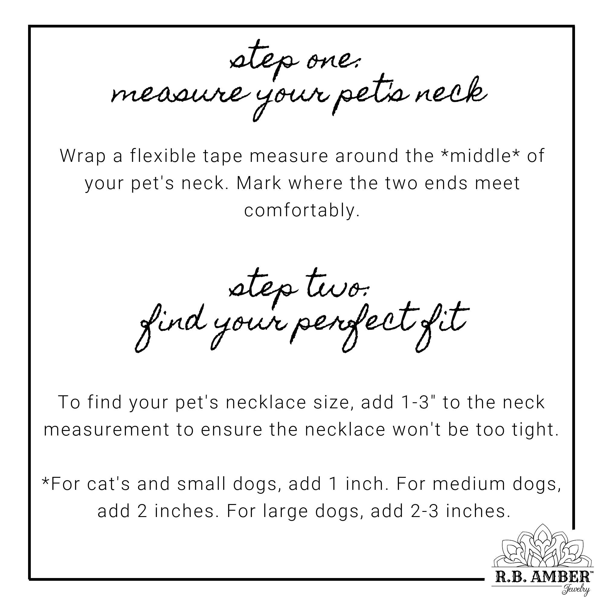 R.B. Amber Jewelry - Wholesale Pet Collar - Cat/Dog - Pet | Turquoise + Cognac Amber Collar9