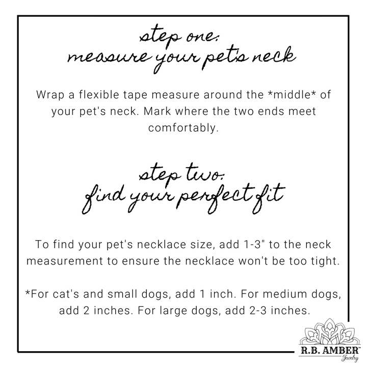 R.B. Amber Jewelry - Wholesale Pet Collar - Cat/Dog - Pet | Turquoise + Cognac Amber Collar9