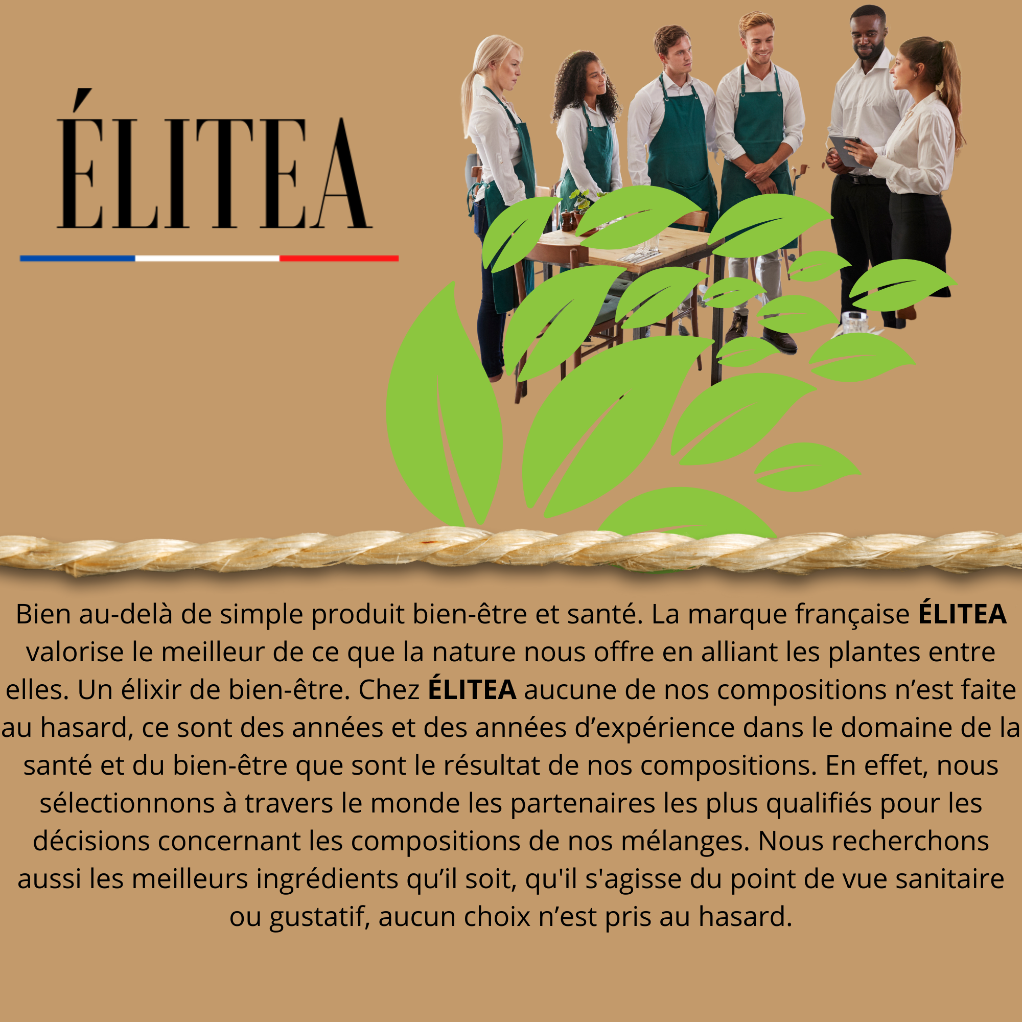 ELITEA - Wholesale Health/Detox Tea - 4 pieces Organic Four Sides Fruit6