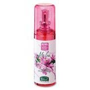 Malva Mallow Flower Scented Deodorant Aluminum Free for wholesale by Profiling Beauty