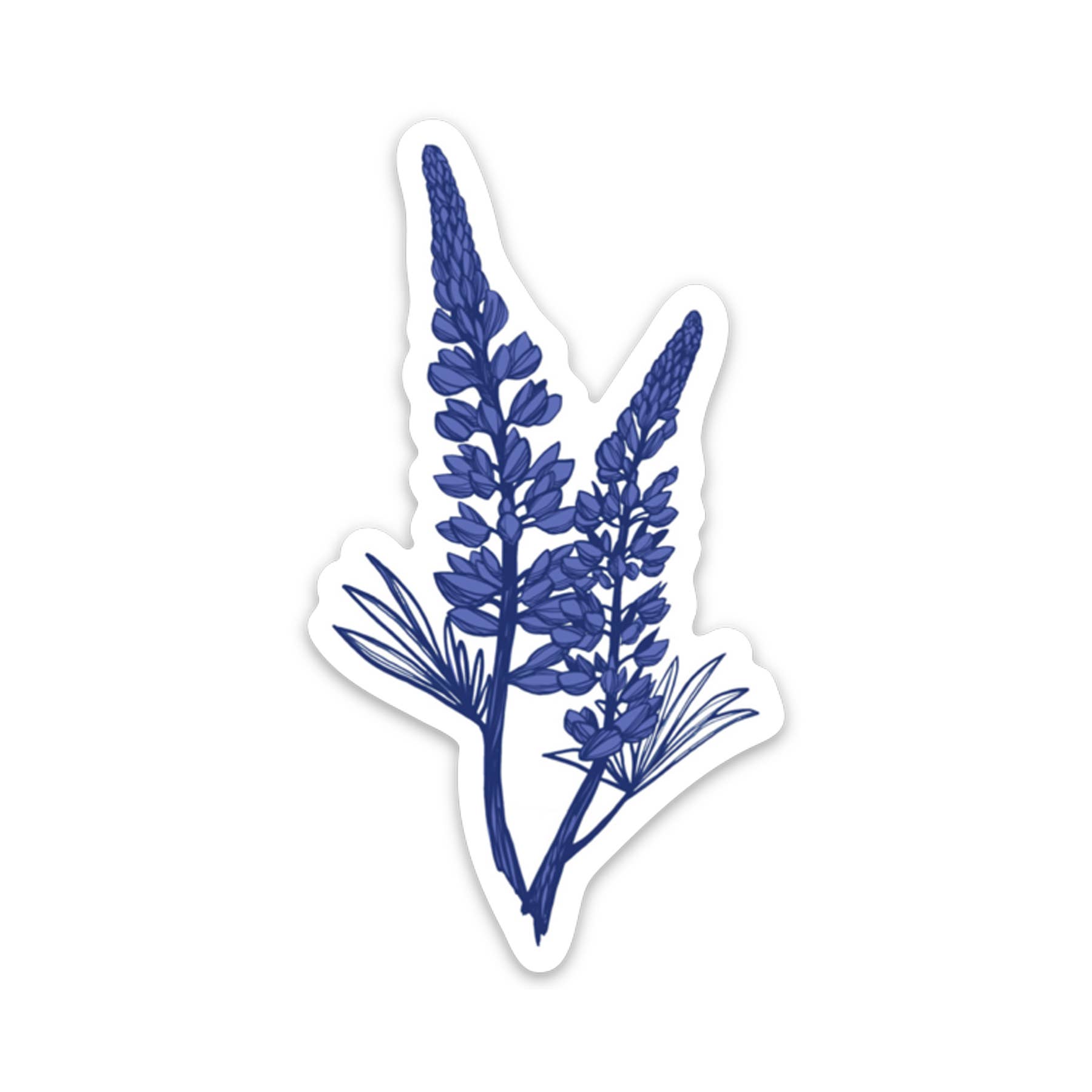 Corvidae drawings & designs - Wholesale Sticker - Lupine Wildflower Vinyl Sticker