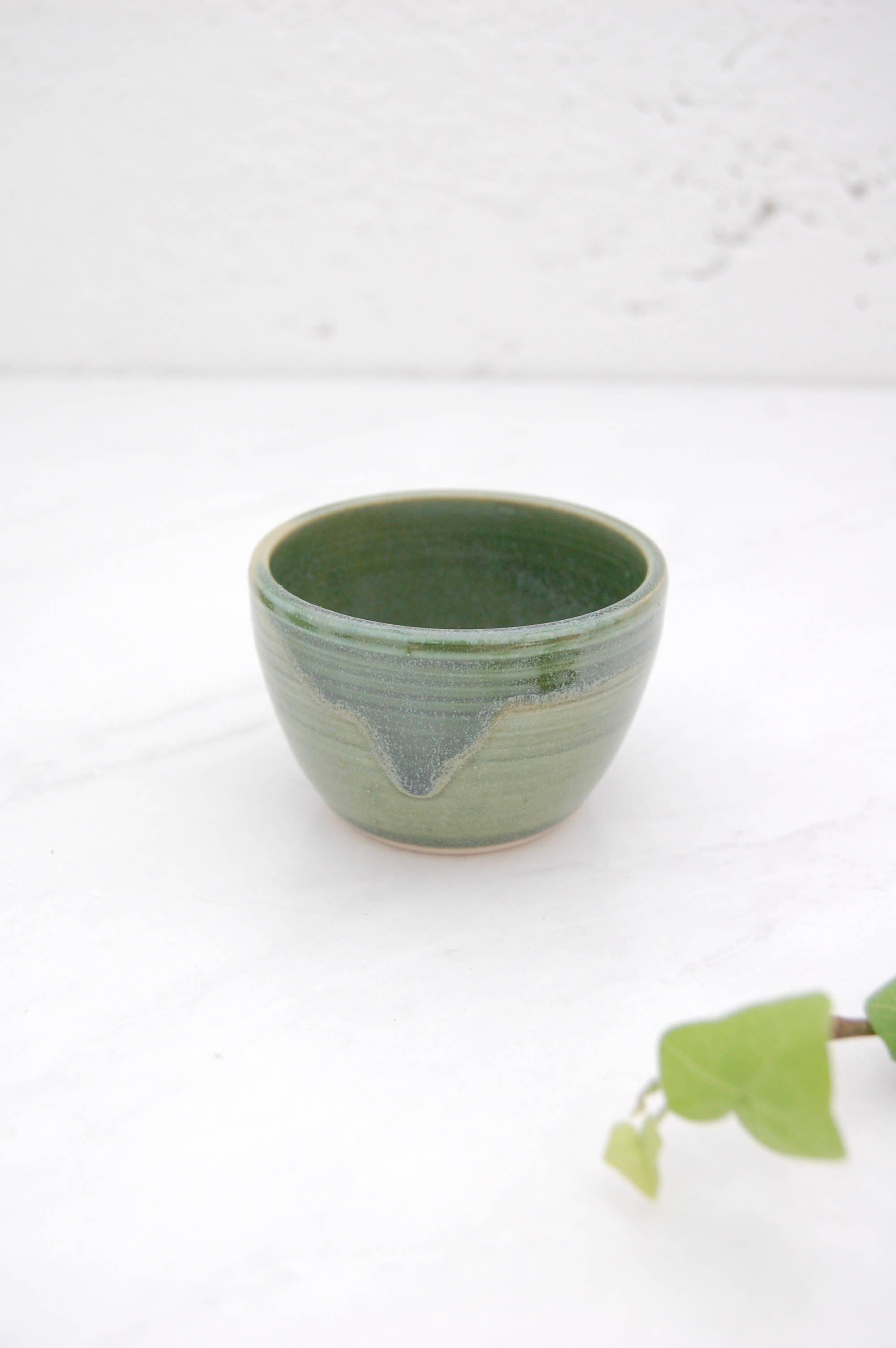 Compost Design - Vendita all'ingrosso Ciotola - Ciotoline: Verde Menta5