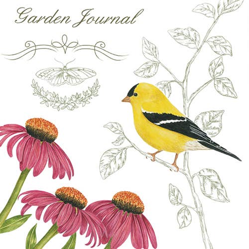 Flour Sack Towels (Set of 2) 34-449 Goldfinch GJ for wholesale by Alice's Cottage