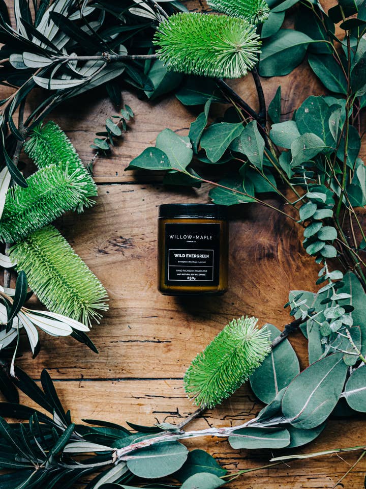 WILD EVERGREEN for wholesale by Willow + Maple