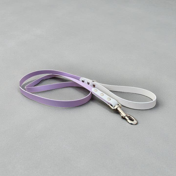 Two-Color Biothane Leash for wholesale by Barking Fancy