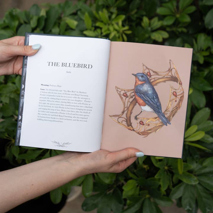 Simon & Schuster - Wholesale Nature & Outdoors - Ornithography by Jessica Roux6