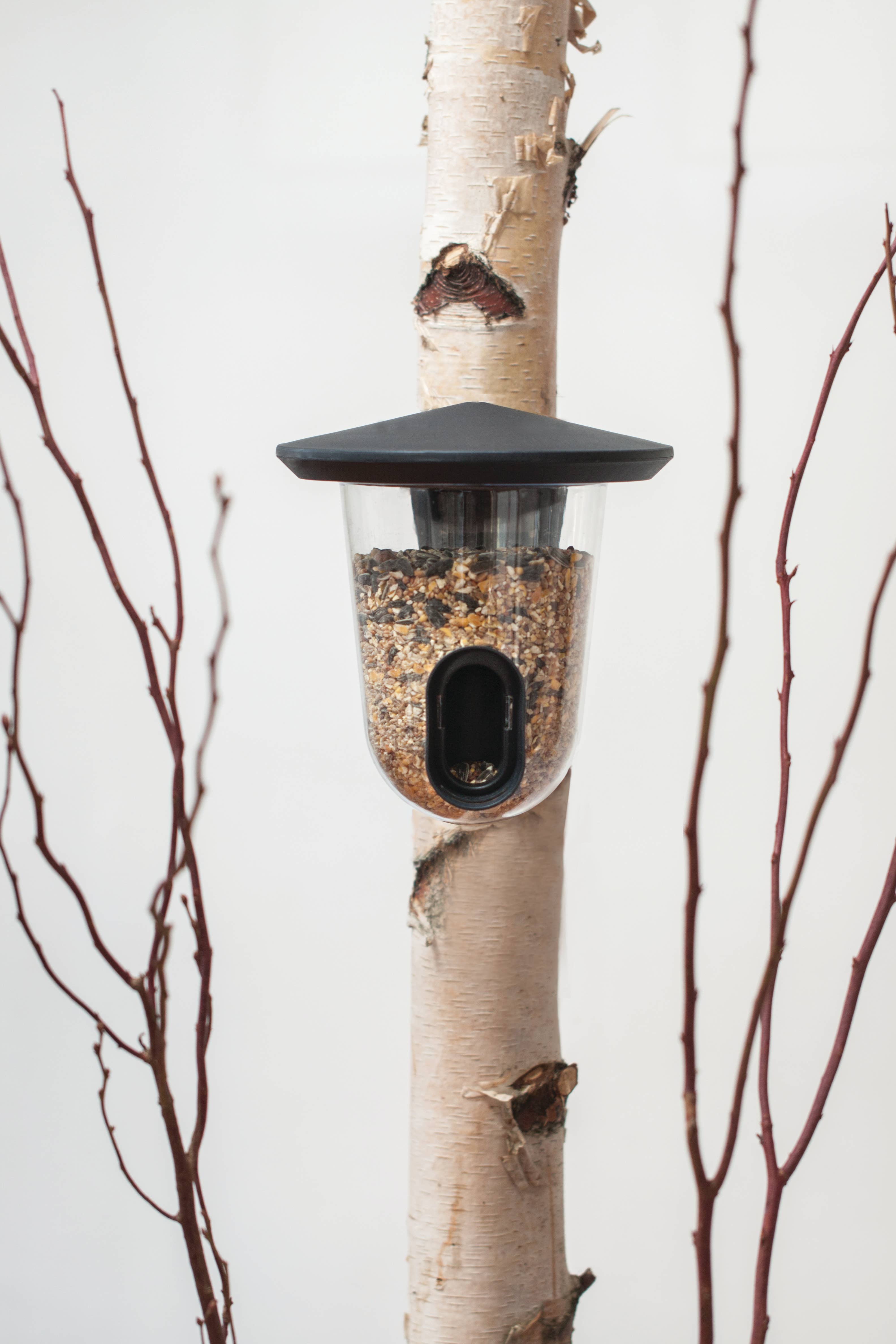 SingingFriend – wholesale Bird feeder – Hello Feeder plastic bird feeder4