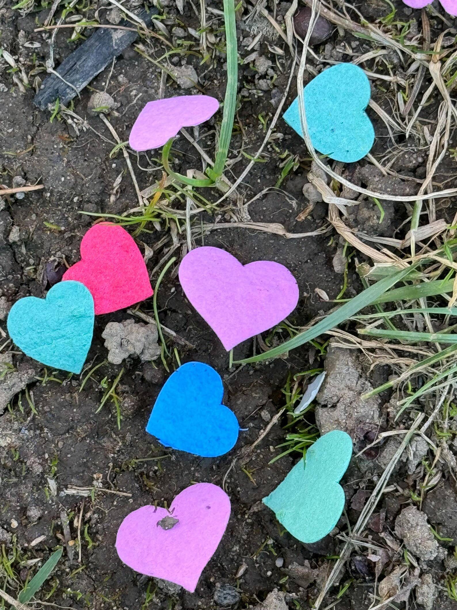 Hudson Valley Makers Co. – Sementes de plantas por atacado – Confetti de Sementes de Flores Silvestres com etiquetas personalizáveis2